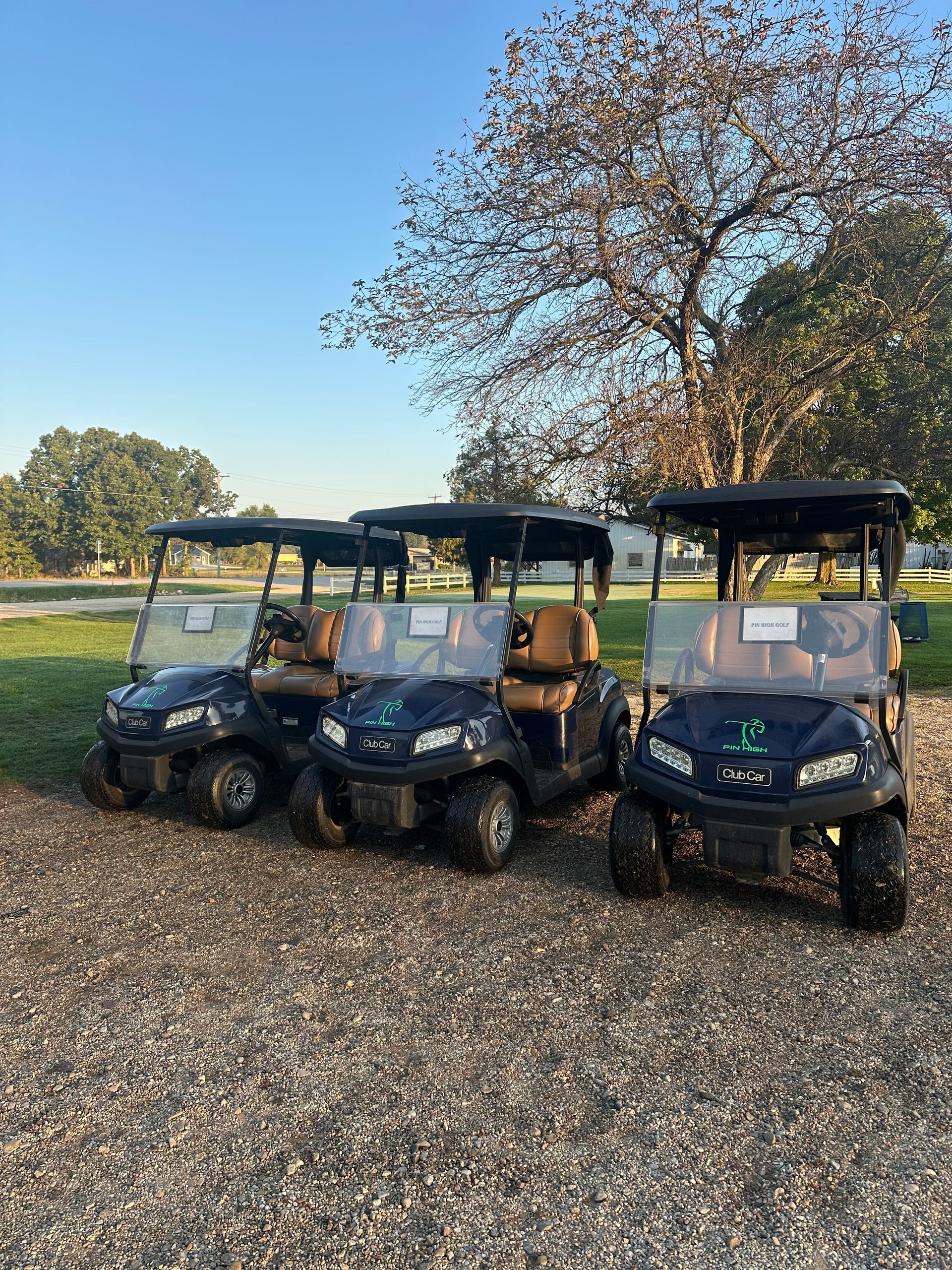 A beige golf cart parked on a grassy hill next to a tree in a sunny, outdoor setting.