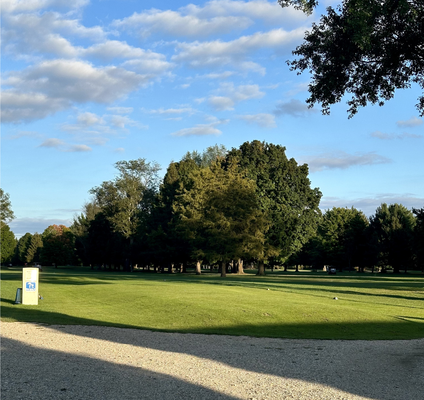A park with a wide expanse of green grass, large mature trees, and a gravel path in the foreground under a blue sky.