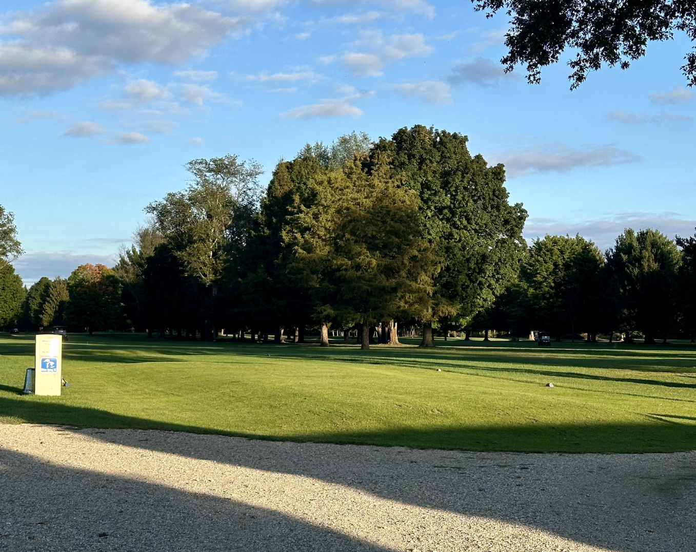 A sunny park scene with a large grassy field, trees in the background, and a gravel foreground under a blue sky.