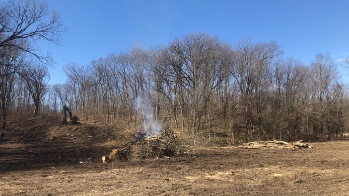 Leafless trees bordering a bare field under a clear blue sky, with a thin plume of smoke near the center