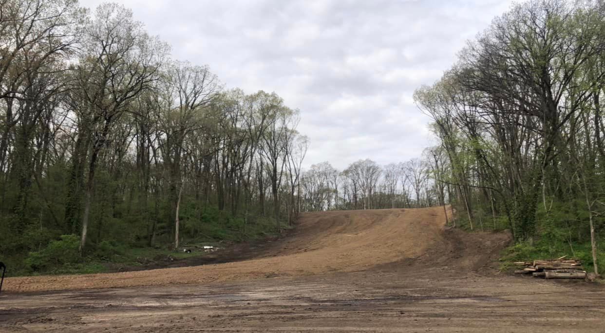 Dirt road leading through a wooded clearing under a cloudy sky