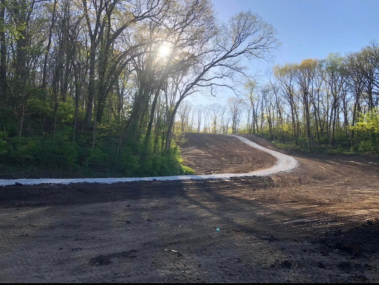 Wooded trail with a winding dirt path and sunlight filtering through bare trees