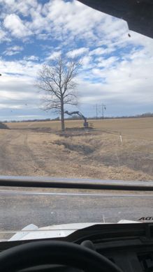 Wintry field with a bare tree, grazing deer, and a blue sky with scattered clouds viewed from a vehicle.