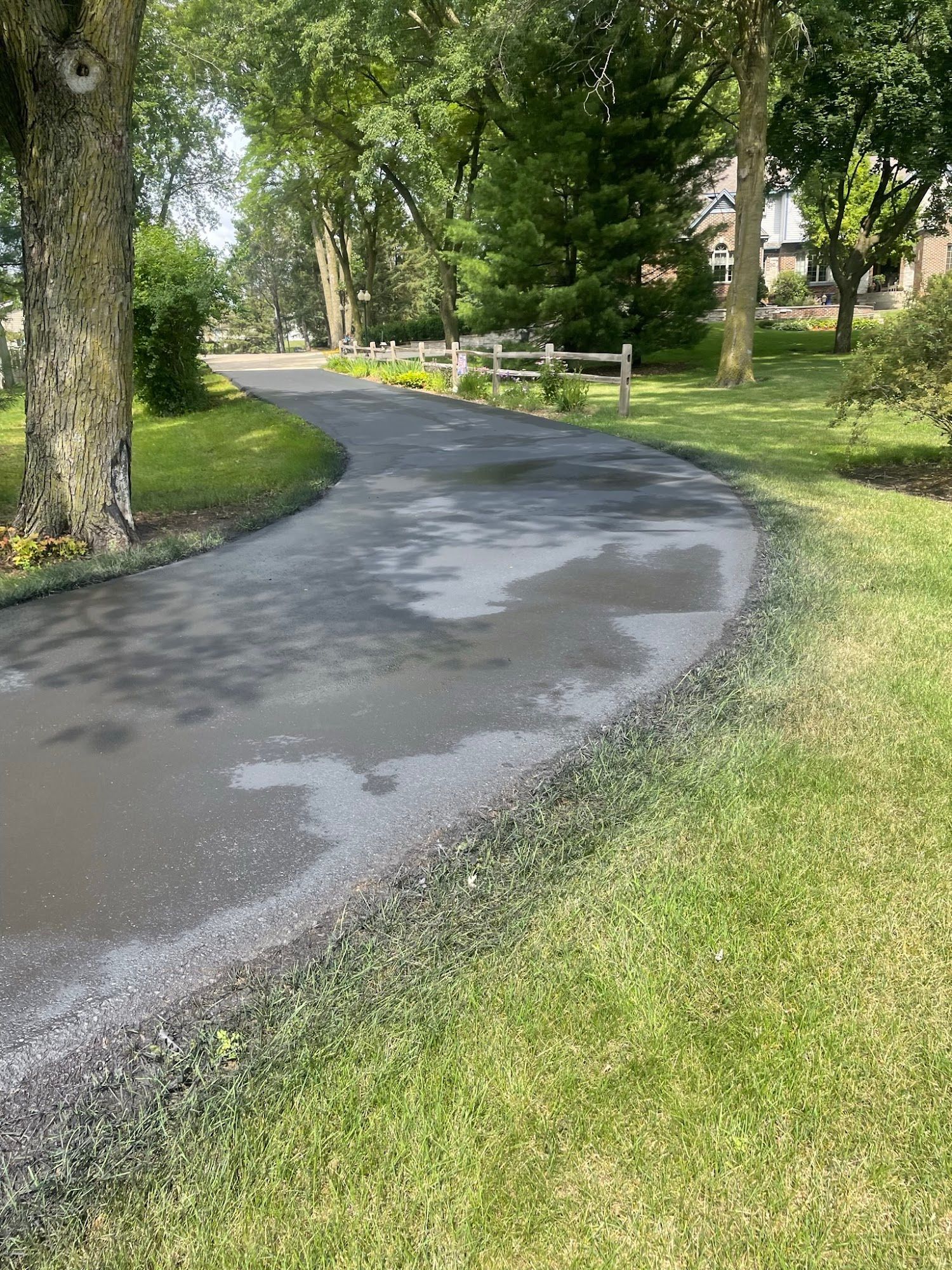 Curving wet asphalt path through a green park with trees and a white fence nearby