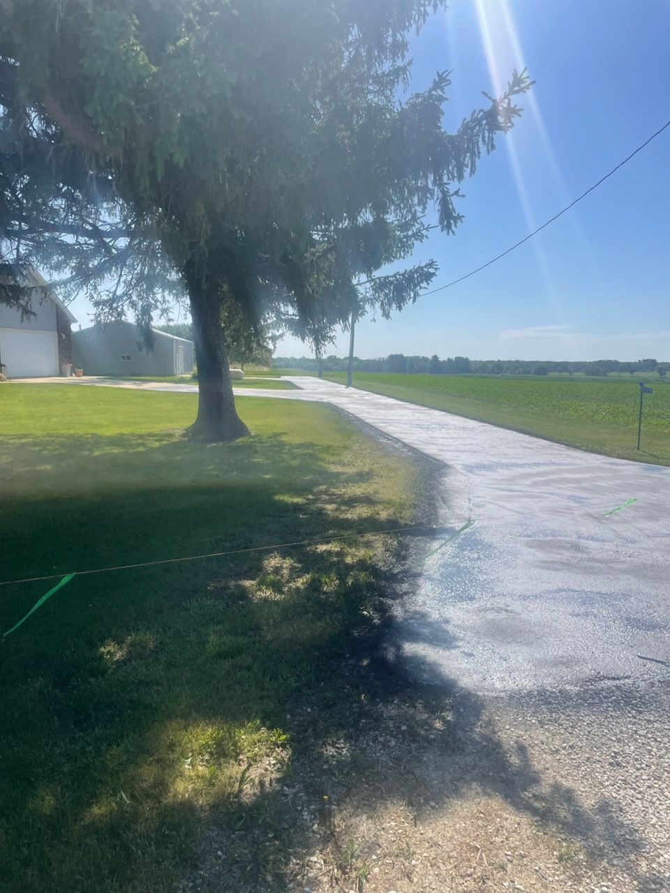 Sunlit paved path beside a large tree and grassy field on a clear day