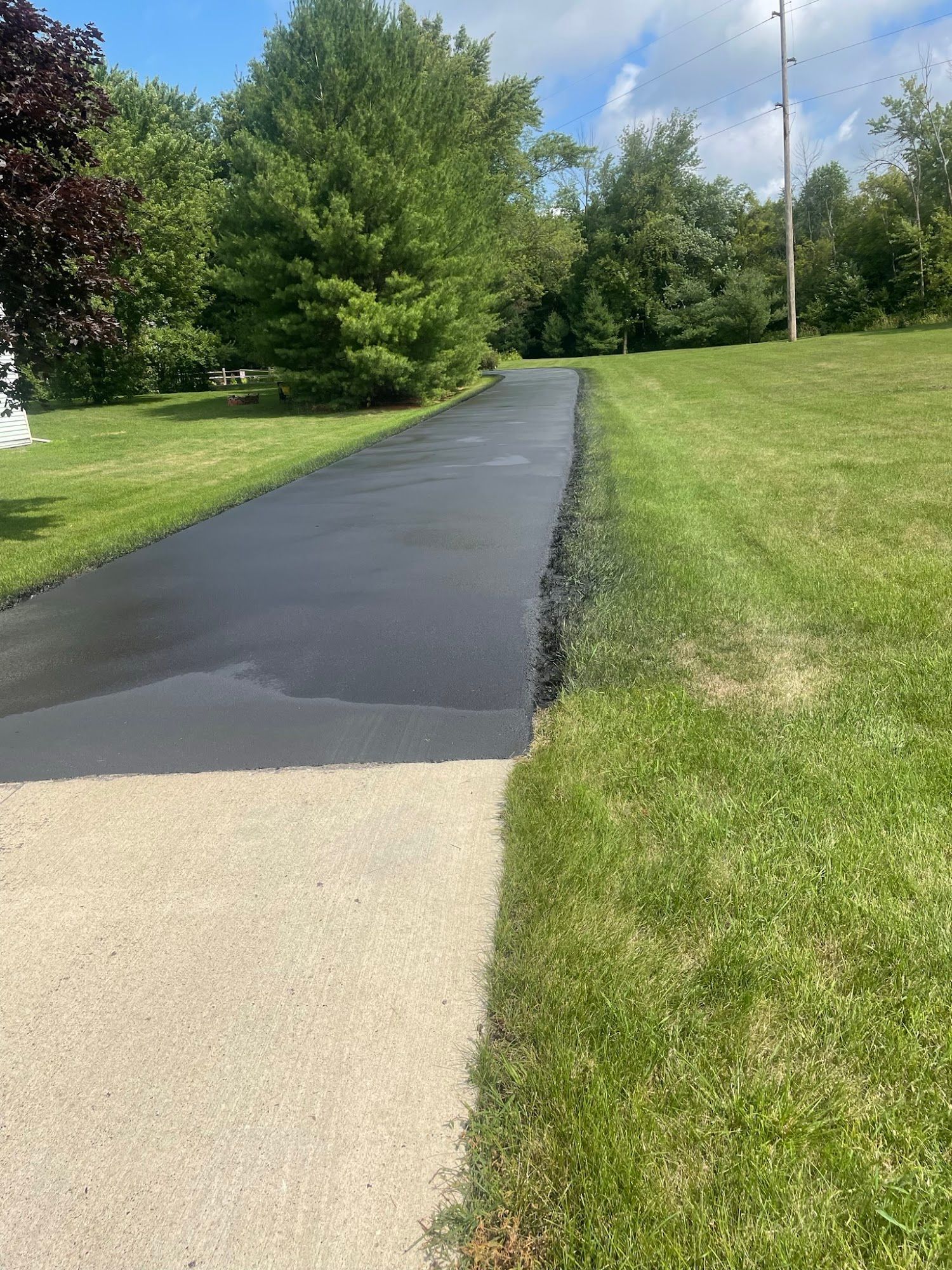 Freshly paved black path through a green park on a sunny day