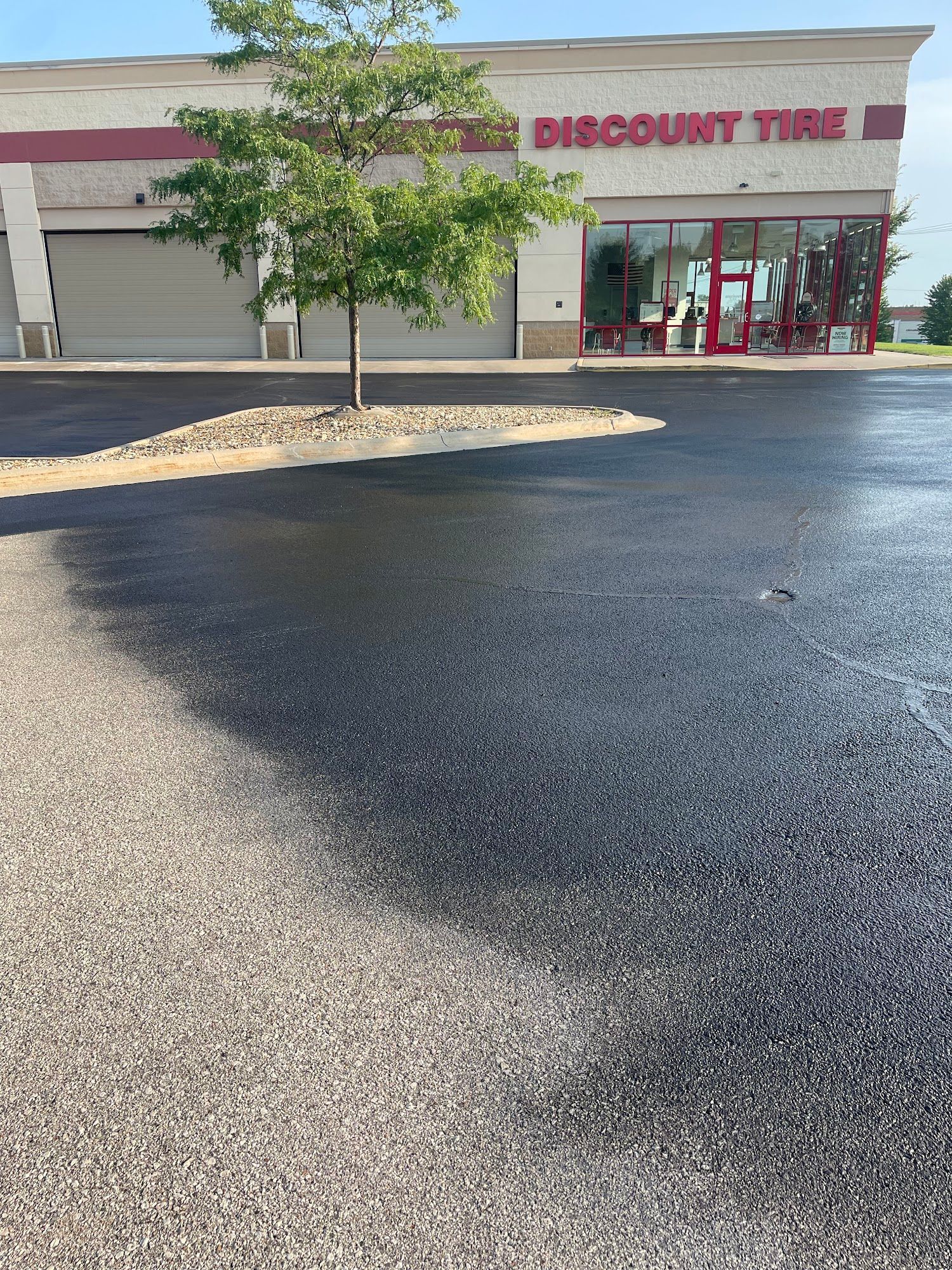Discount Tire storefront with a tree and wet asphalt parking lot in front