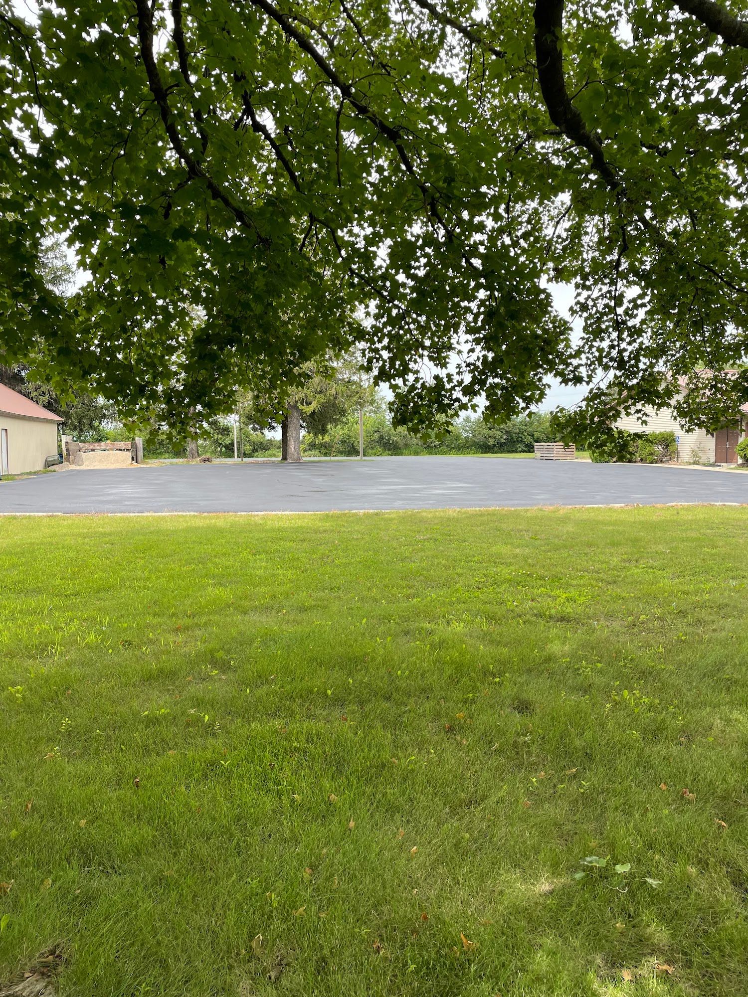 Grassy park with a large leafy tree canopy over a paved road and a house at left