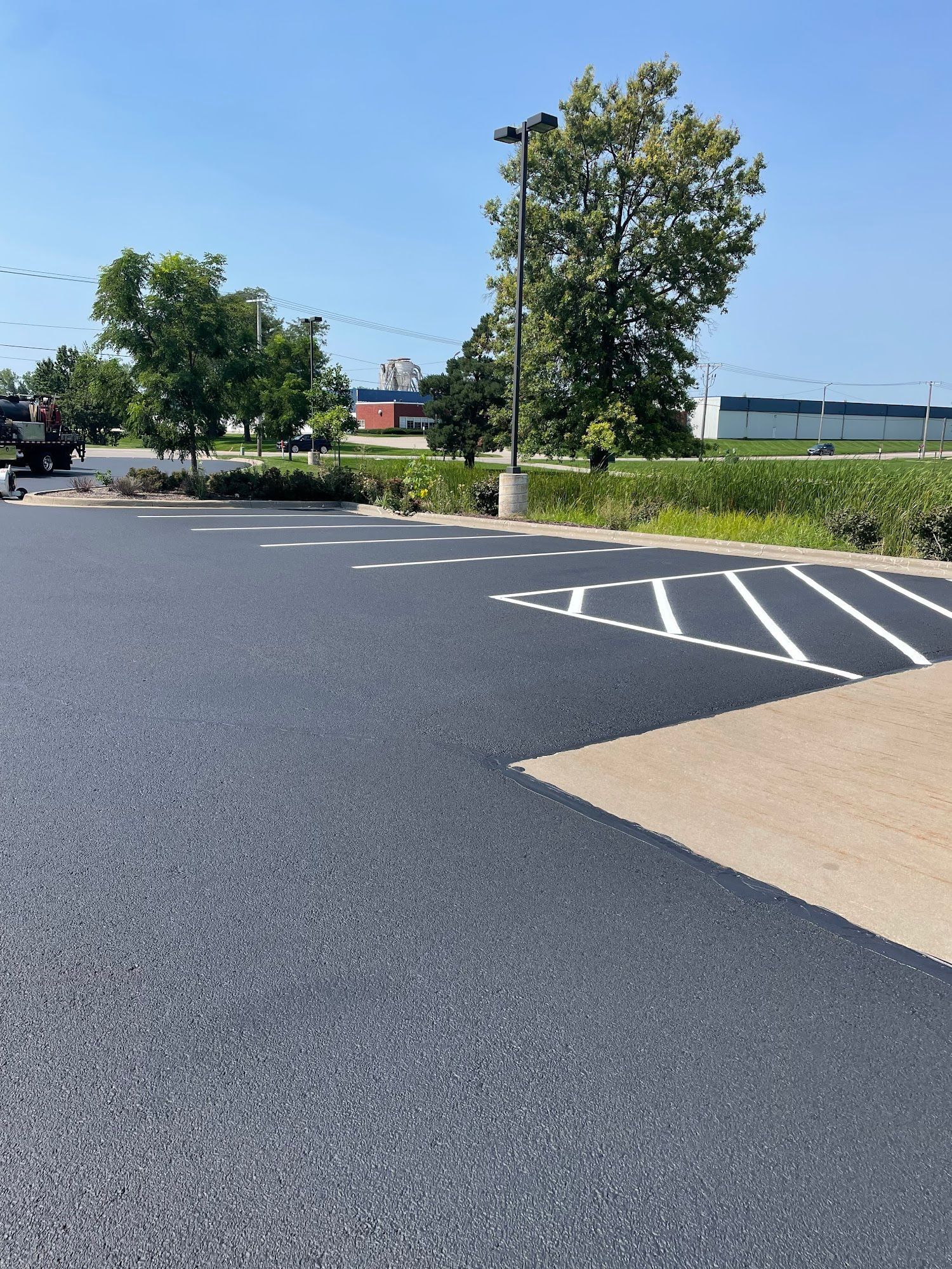 Empty parking lot with white diagonal markings, trees, and a utility pole under a clear blue sky