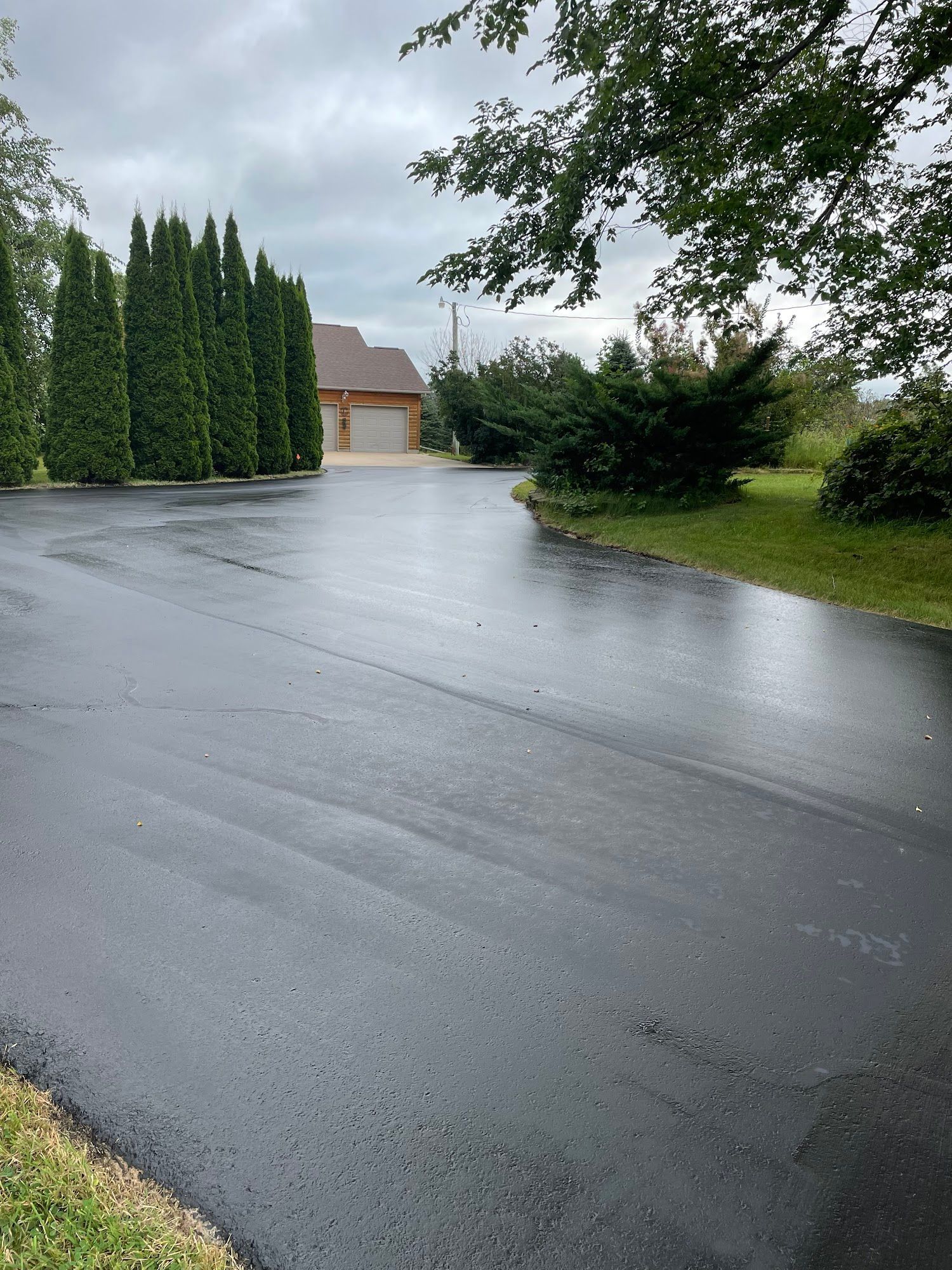 Wet suburban driveway with tall evergreens and a house in the background