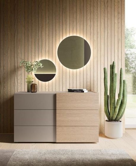 Comò moderno con specchi rotondi illuminati, cactus in vaso e parete rivestita in legno.