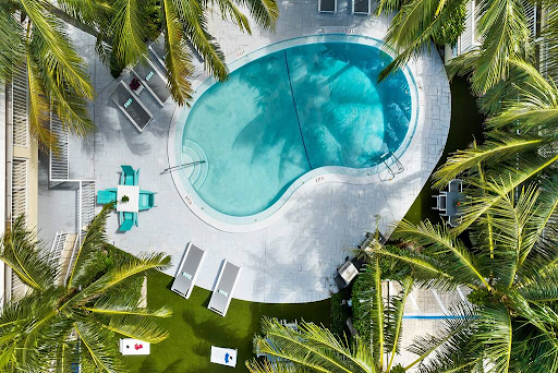 An aerial view of a large swimming pool surrounded by palm trees.
