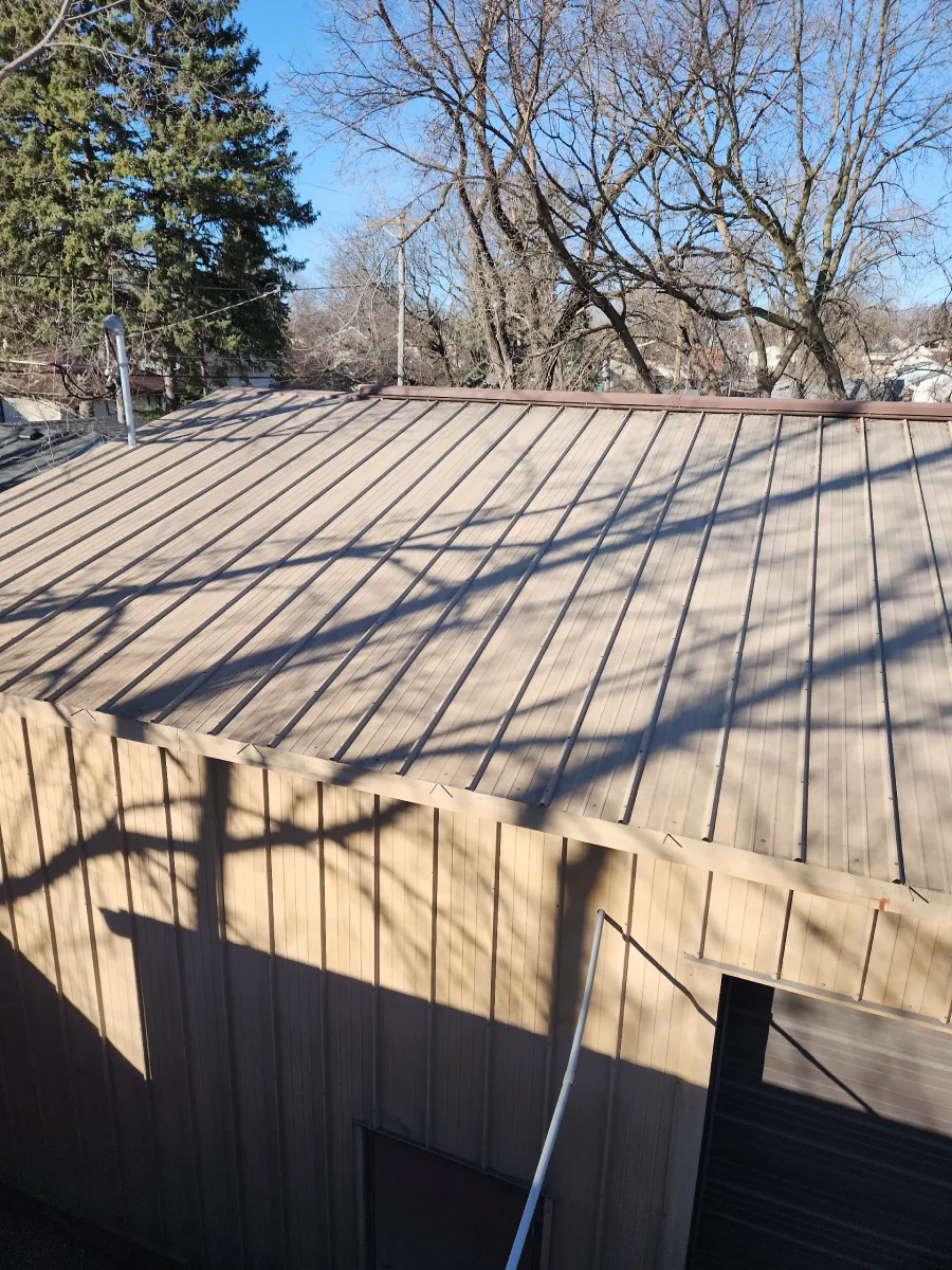 Wooden shed roof with diagonal shadows, bare trees and a blue sky in the background