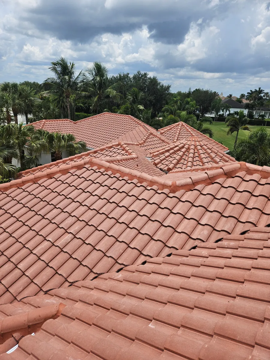 Terracotta-tiled rooftops with a cloudy sky and lush green trees in the background