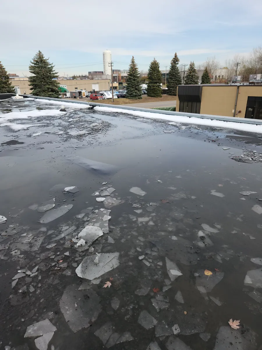 Icy rooftop with puddles and scattered ice, overlooking trees and buildings on a cold day