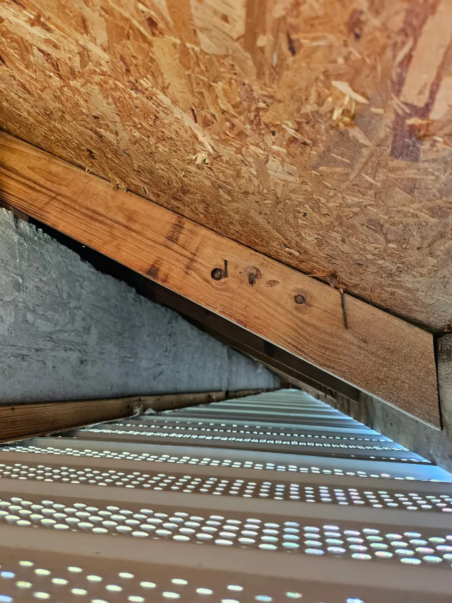 Looking up through a metal ladder into an attic with plywood roofing and a concrete wall.