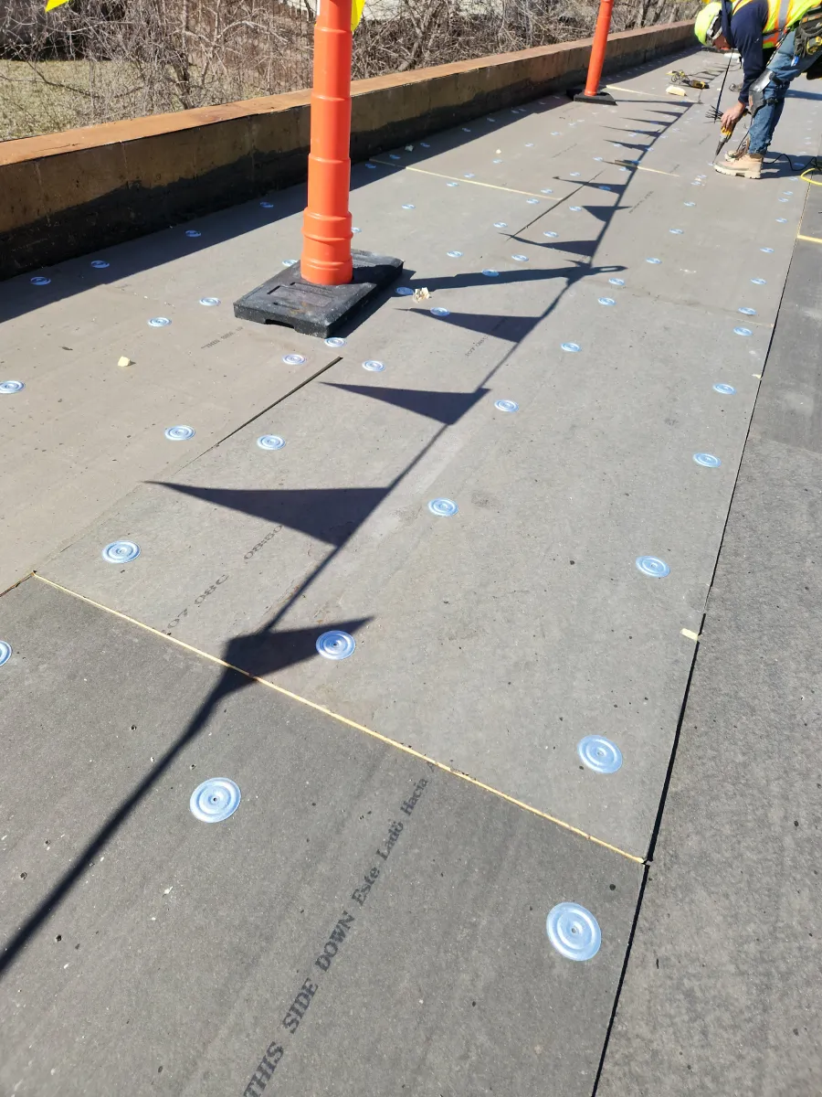 Sunlit sidewalk with orange cones and blue tactile markers beside a curb and railing