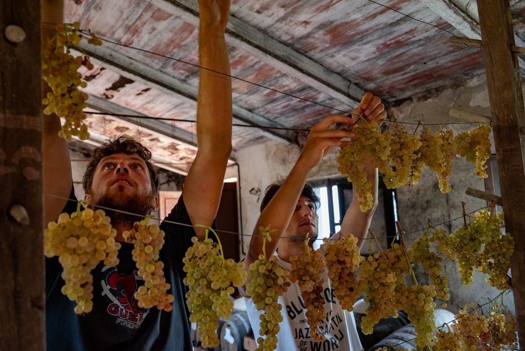 Tuscan Bites Sips Wine