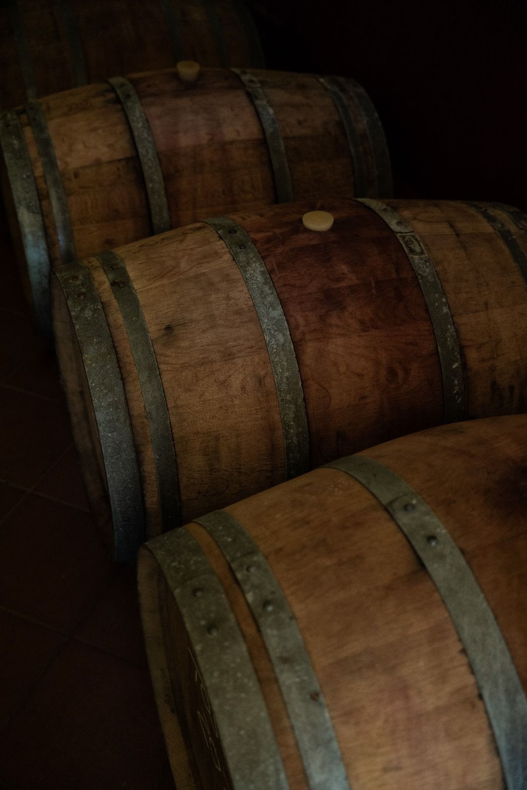 Wine Tasting Tuscany