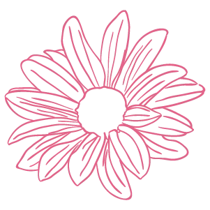 Pink line-art daisy-style flower with multiple petals on a white background