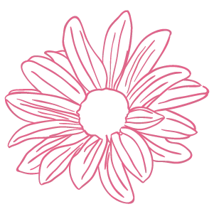 Pink line-art daisy-style flower with multiple petals on a white background