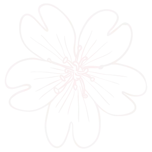 Pale pink line-art flower with six rounded petals on a white background