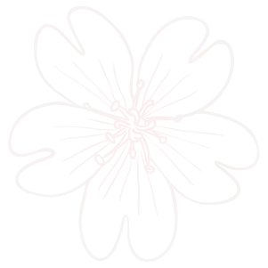 Pale pink line-art flower with six rounded petals on a white background