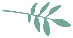 Teal leafy branch with several elongated leaves on a white background