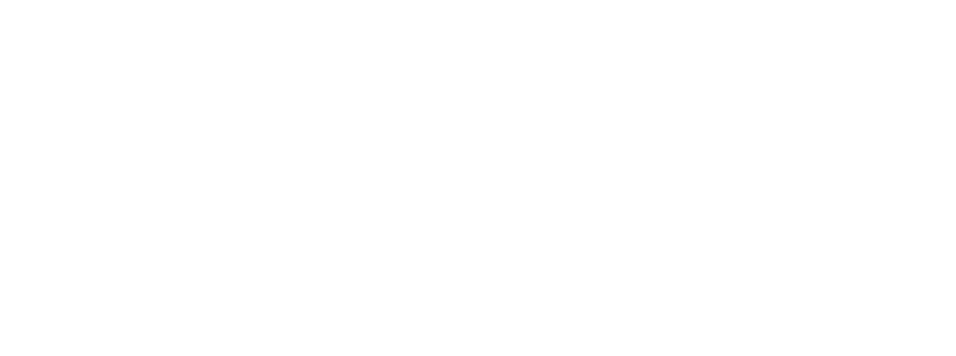 Logo nv