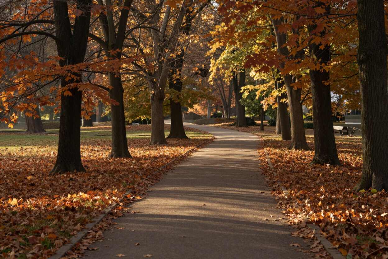 A winding path, symbolizing the gradual history behind depression