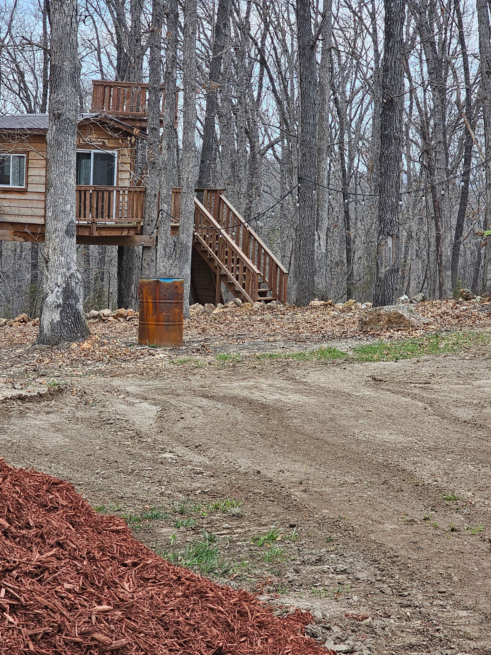 A wooded yard with bare trees, a wooden staircase, and a dirt path beside a small building.