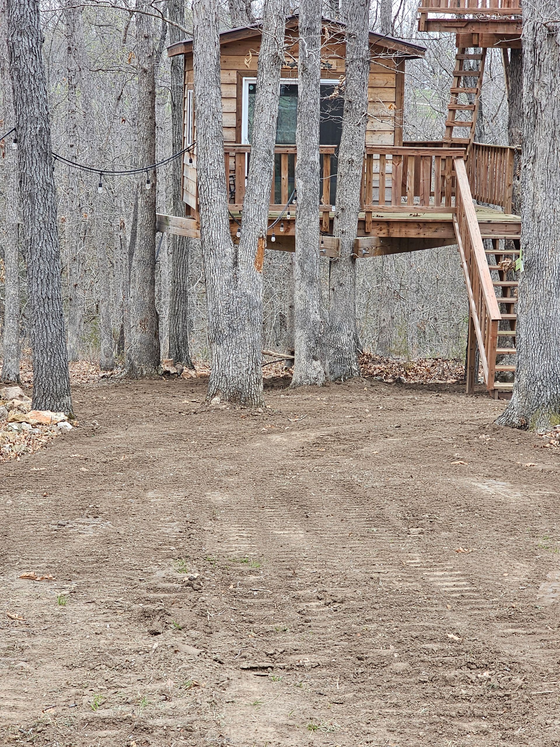 Wooded yard with a treehouse-style deck, ladder, and a leaf-covered ground.