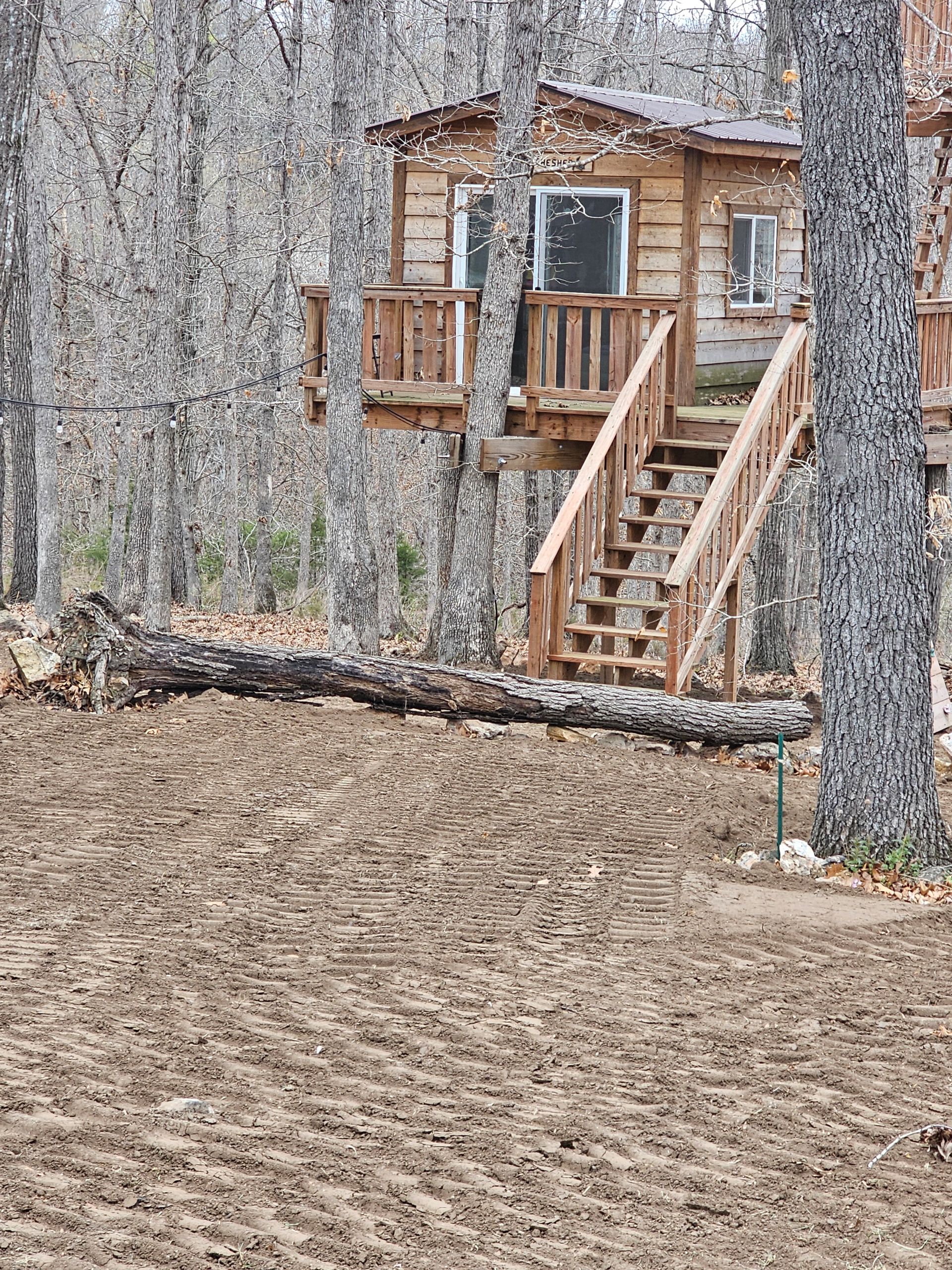 Small wooden treehouse with stairs in a wooded backyard with bare trees and leaf-covered ground