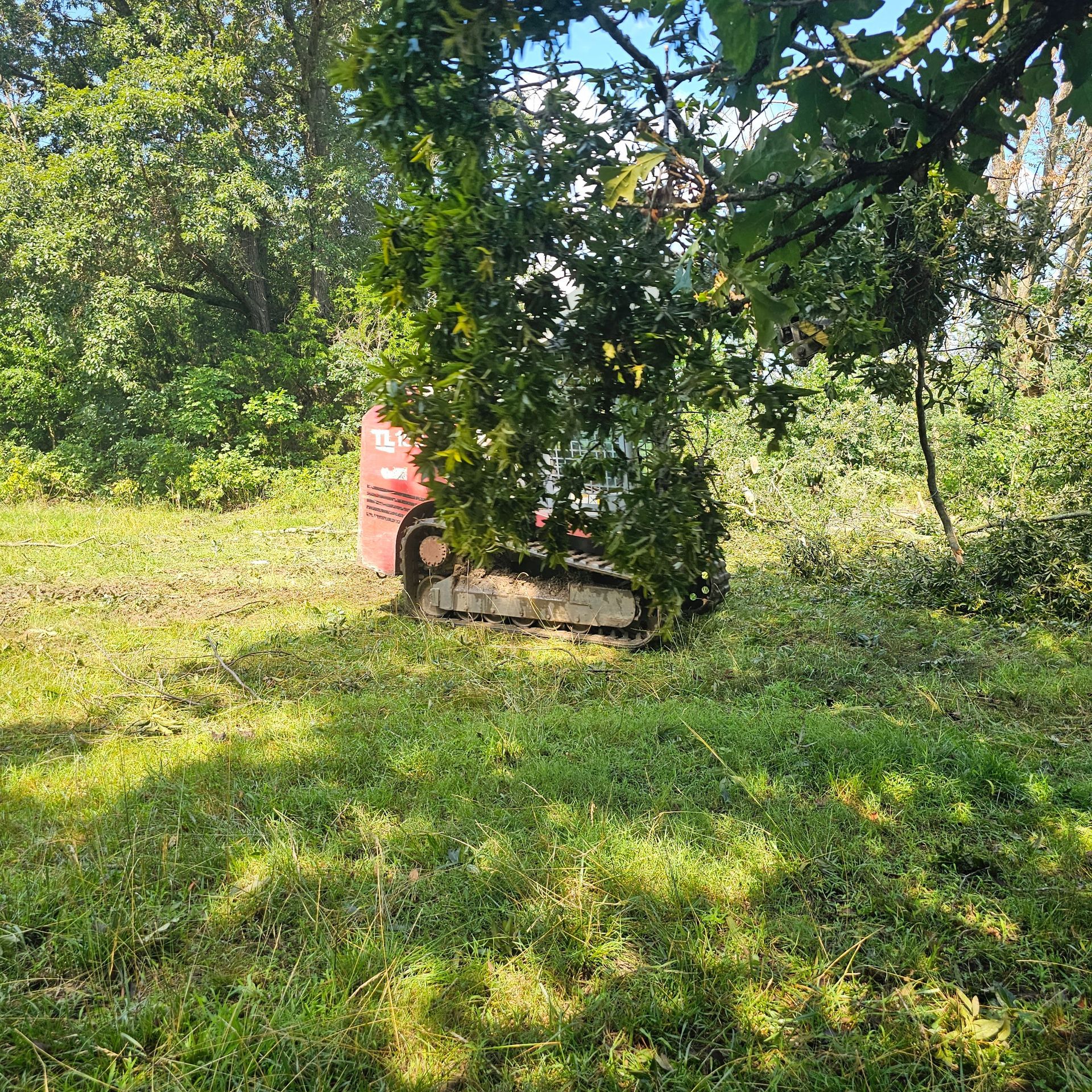 Small red excavator partly hidden by tree branches in a sunny grassy field