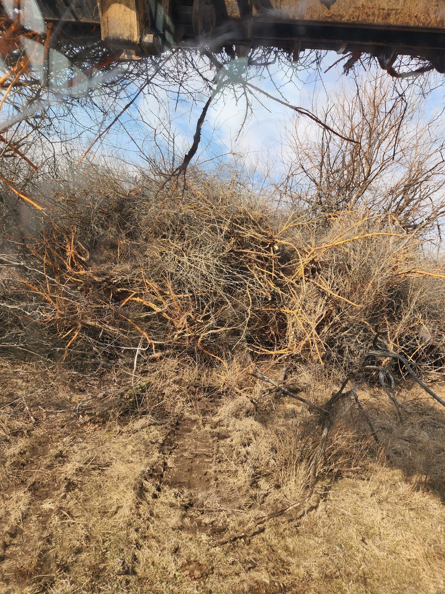 Dry bushes and a leaf-covered streambank beside a calm creek with trees reflected in the water
