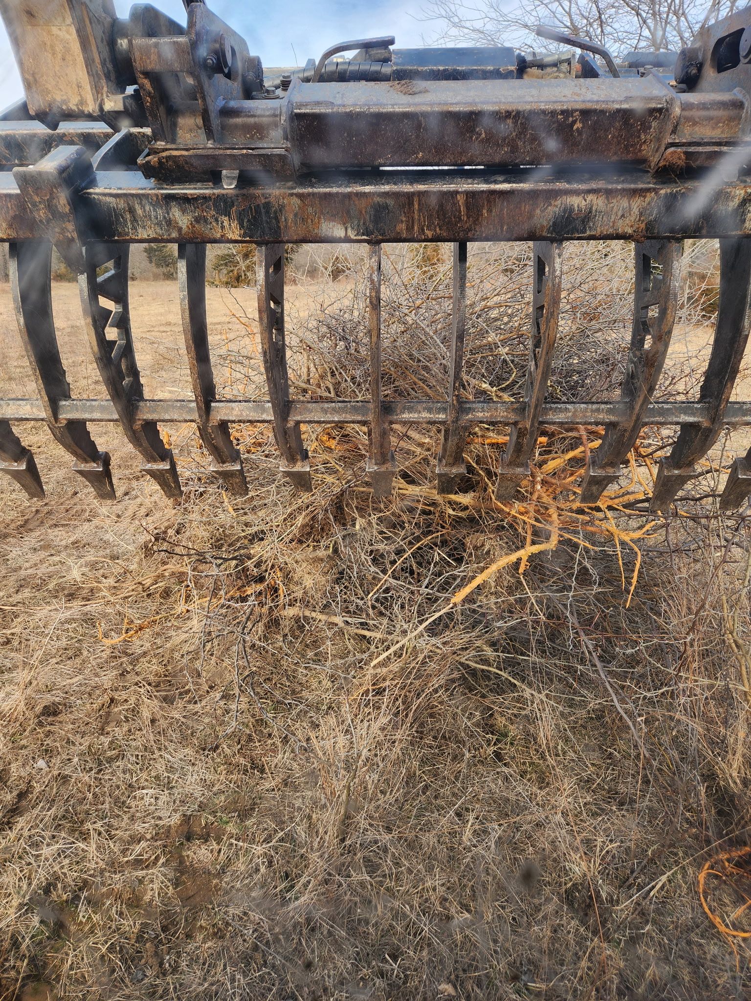 Rusty front-end loader grapple in a dry field, with hay caught in the metal tines.