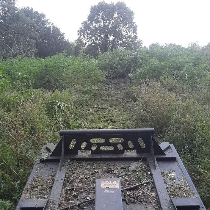 Front loader attachment in overgrown field with trees and dense brush in the background