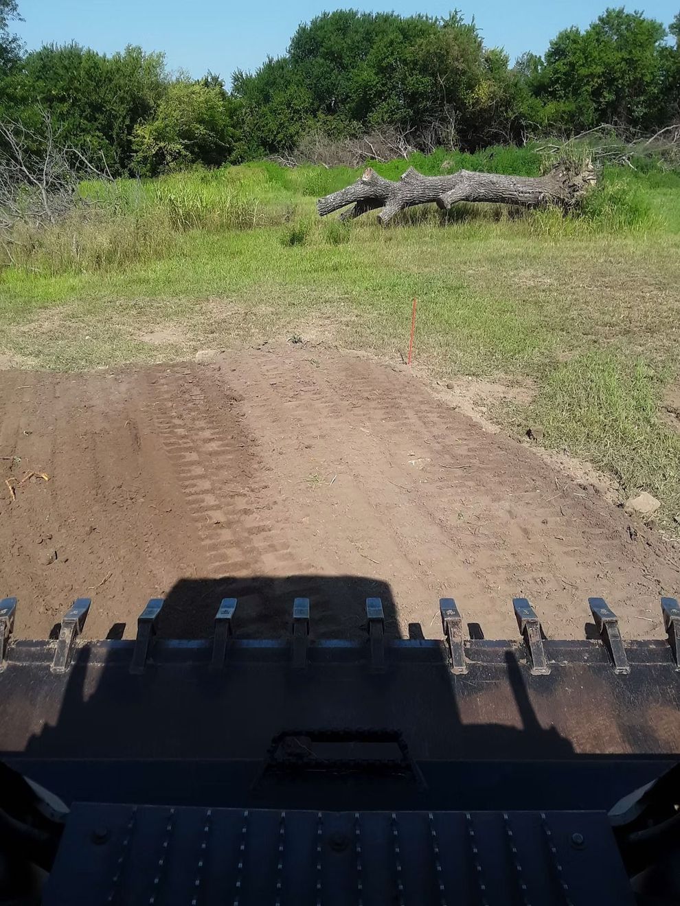 View from a vehicle over a dirt track toward grassy terrain with rocks and trees.