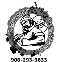 A logo for a tree service company called Heinonen Tree Service Llc. A black and white logo for a tree service company.