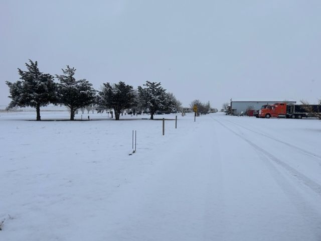Snow-covered parking lot with trees, poles, and red trucks in the distance