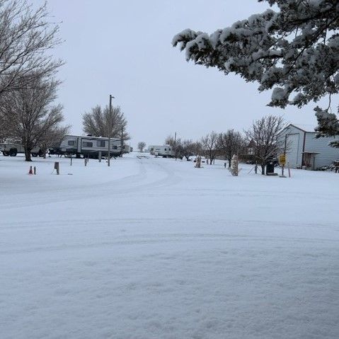 Snow-covered suburban street with houses, bare trees, and an overcast winter sky