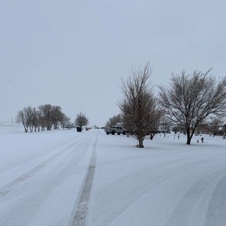 Snow-covered rural road and field with bare trees and parked vehicles under an overcast sky.