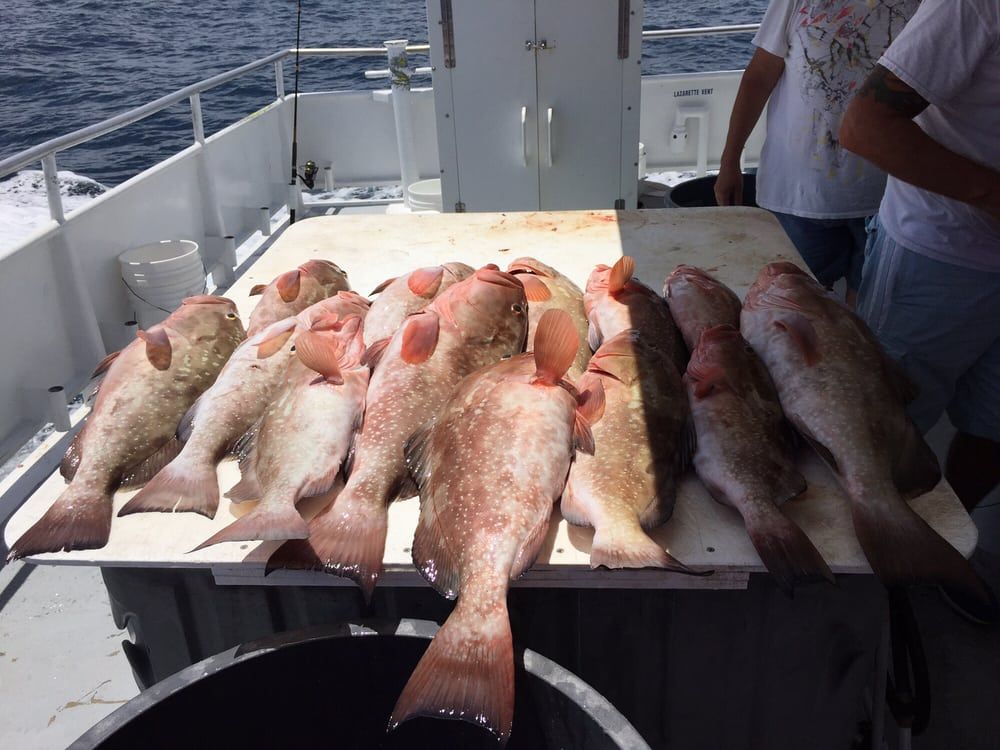 Big Pink Fish — Fort Myers, FL — Captain Tony’s Fishing Adventures