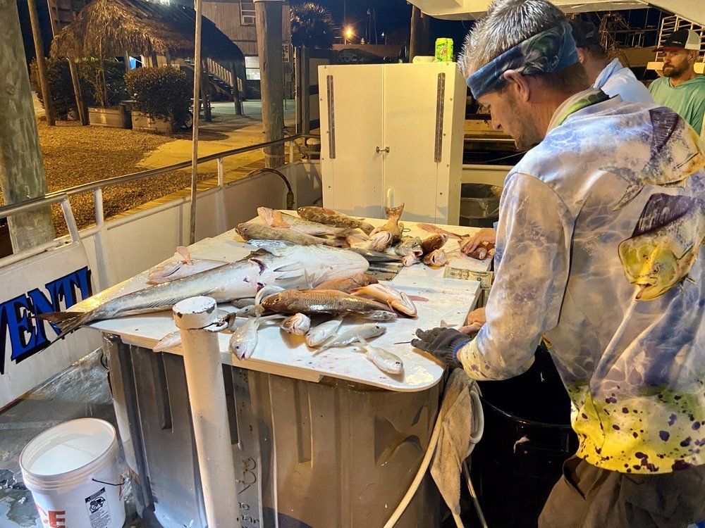 Slicing Fish — Fort Myers, FL — Captain Tony’s Fishing Adventures