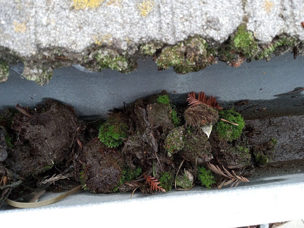Gutter Cleaning Service In Sacramento