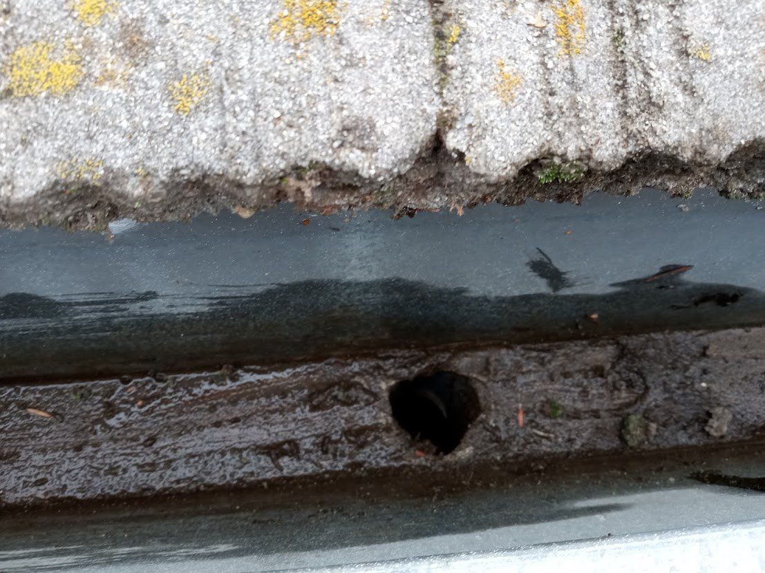 Gutter Cleaning Service In Near Me