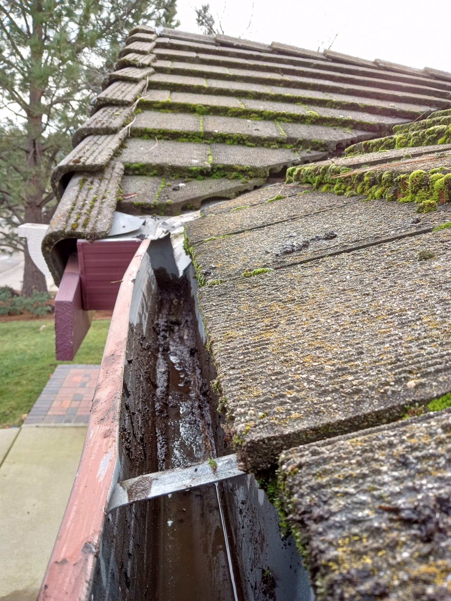 Gutter Cleaning Service Near You