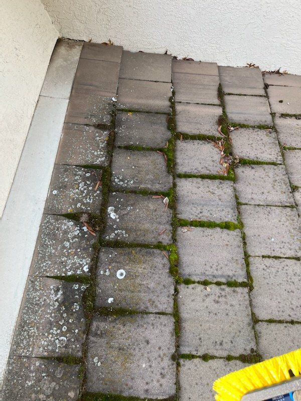 Roof cleaning moss Roof cleaning moss