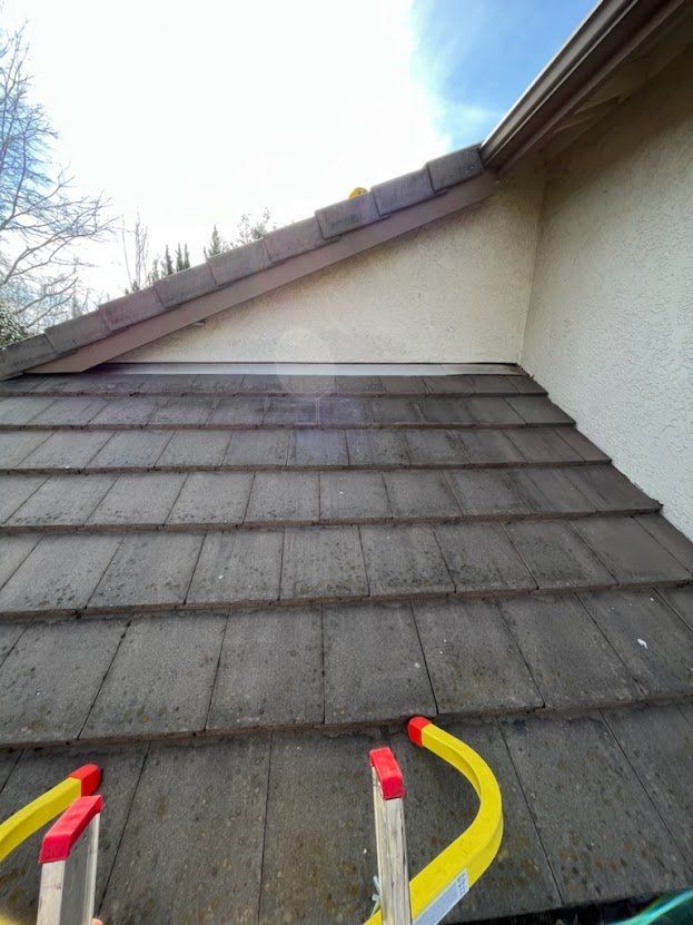 Roof Cleaning Service Roof Cleaning Service