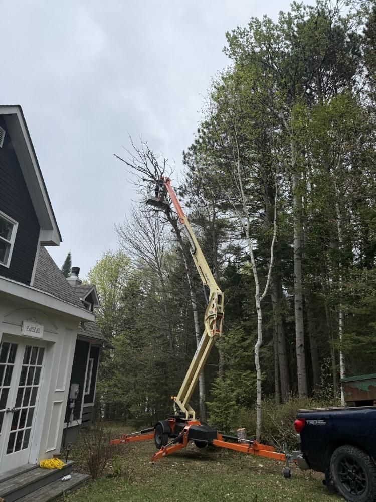 Yellow tree boom lift beside a house, trimming tall trees in a wooded yard.